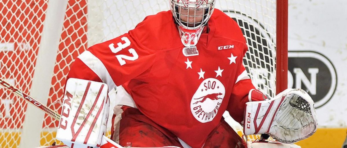 CYCLONES ADD RAAYMAKERS IN GOAL